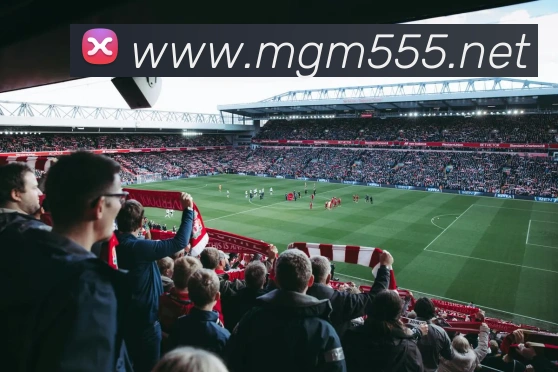 对战数据统计